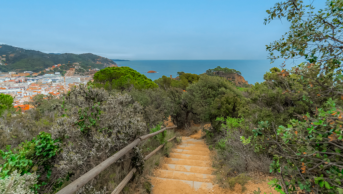 Land with sea views in a unique place in Tossa de Mar